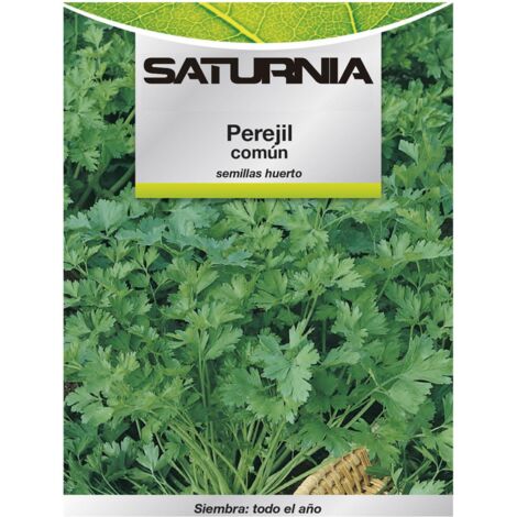 semillas perejil comun (8 gramos) semillas verduras, horticultura, horticola, semillas huerto.