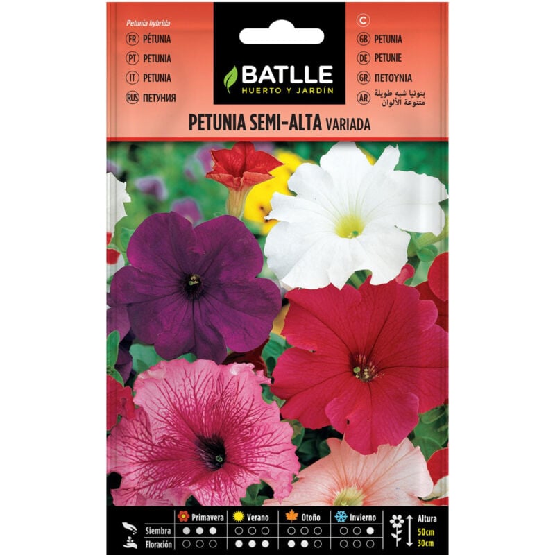 

Semillas petunia semi-alta variada