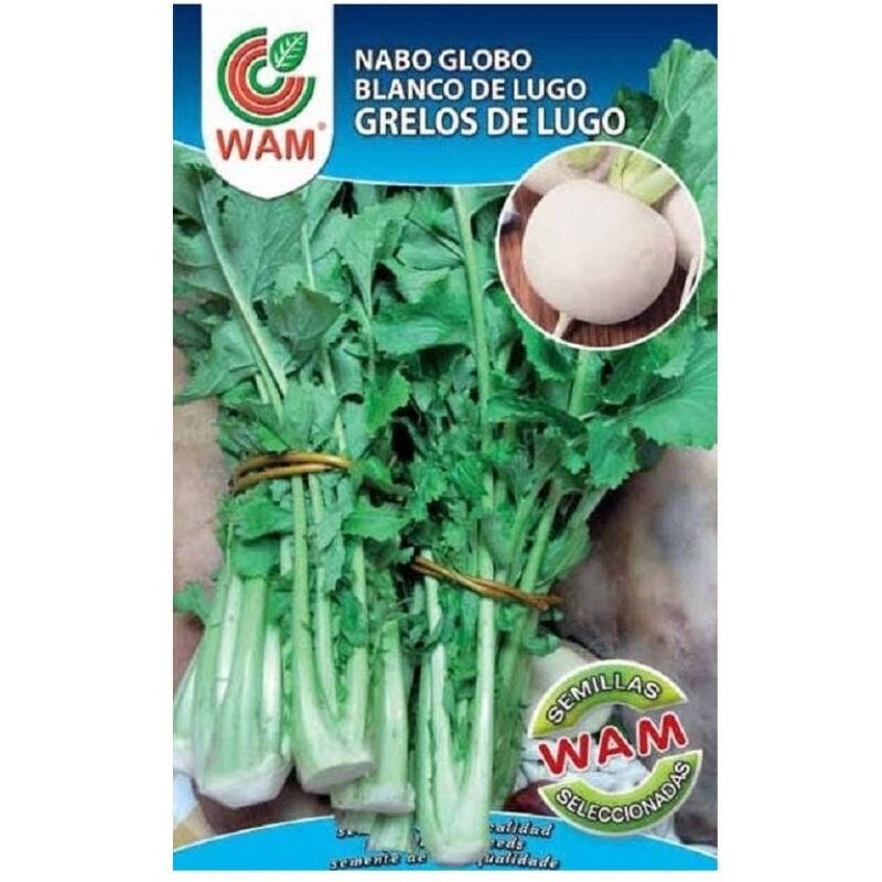 

Semillas Premium de Grelos de Lugo 100 gr - WAM