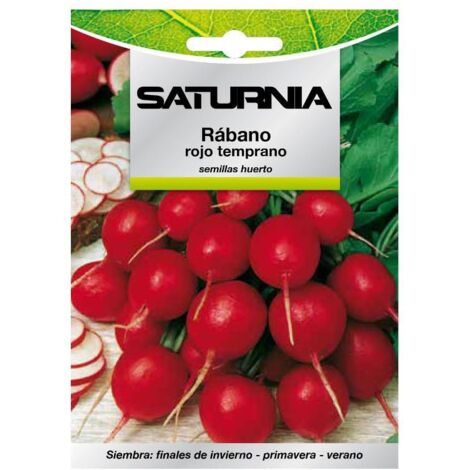 Semillas Rabano Rojo Temprano (8 gramos) Semillas Verduras, Horticultura, Horticola, Semillas Huerto.
