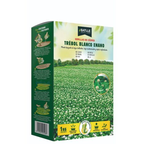 Semillas trébol enano blanco, 1 Kg
