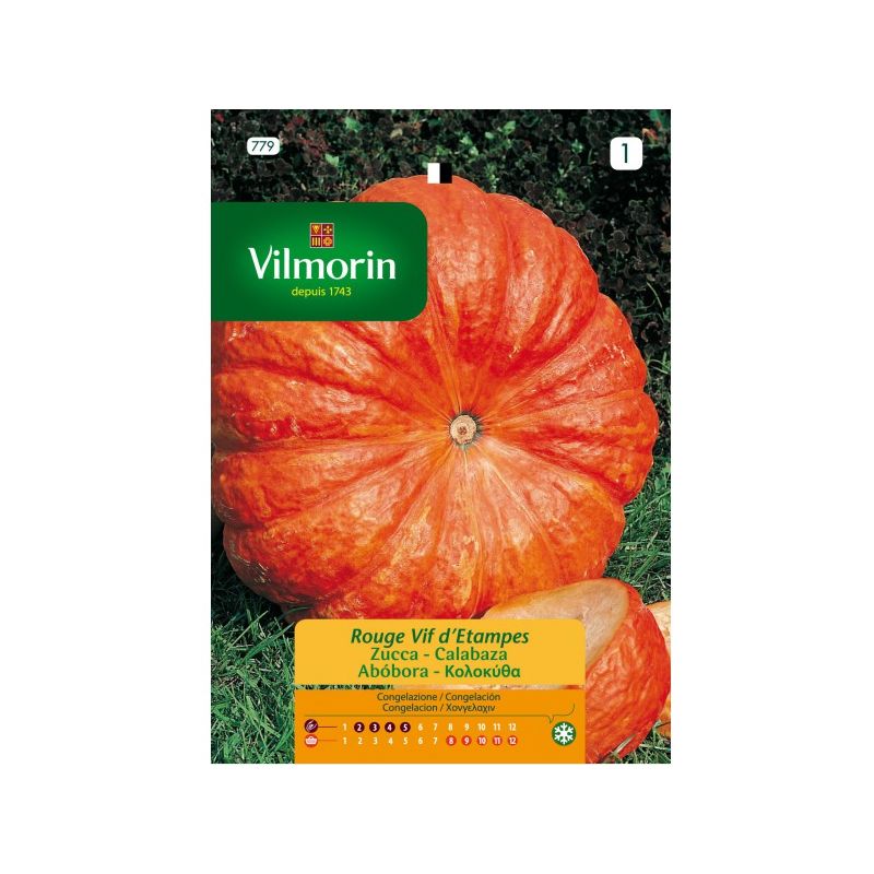 

Semillas CALABAZA ROUGE VIF D' ETAMPES - 7 gr - Vilmorin