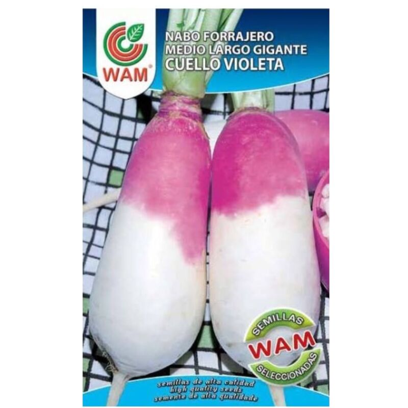 

Semillas de Nabo Forrajero Medio Largo Gigante de Cuello Violeta - Caja de 250 gr - WAM