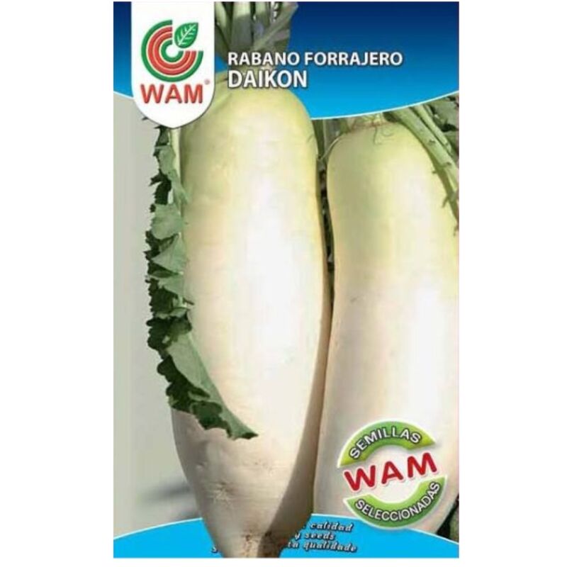 

Semillas de Rábano Forrajero DAIKON - Caja de 250 gr - WAM