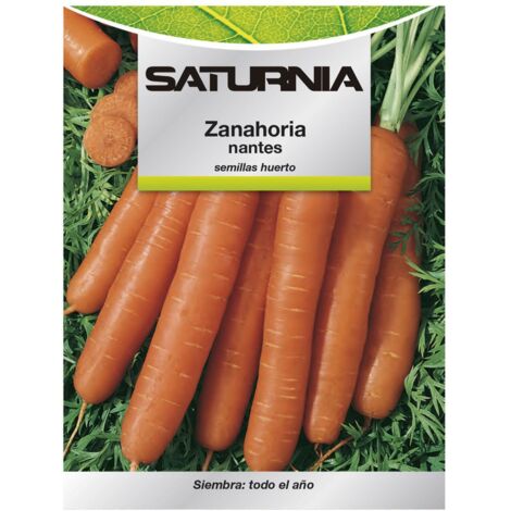 Semillas Zanahoria Nantes Temprana (7 Gramos)