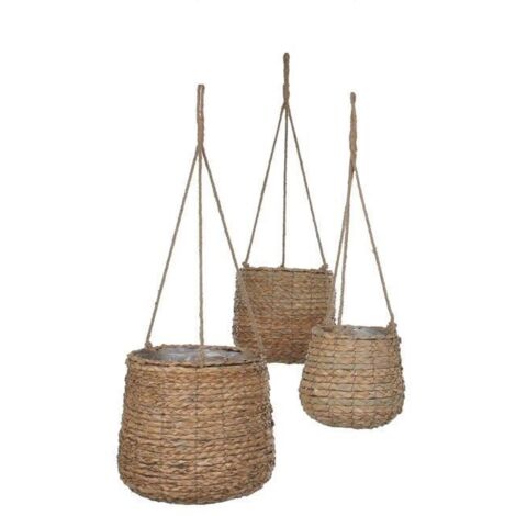 Sencha Hanging Basket - Small