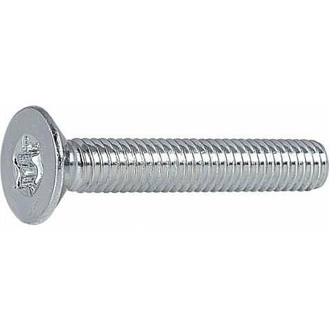 Senkkopfschrauben ø M 4x30 mm Torx 20 Senkschrauben ISO14581 Schrauben verzinkt