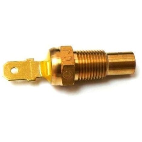 Sensor de temperatura Suzuki Burgman AN 125 250