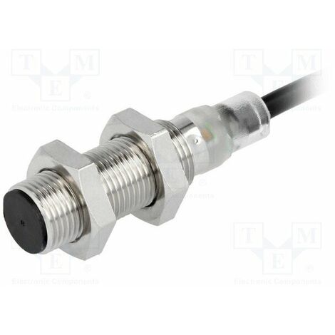 Sensore induttivo Pnp/no 10-30vdc Ip67 M12 E2bm12ks04wpb22