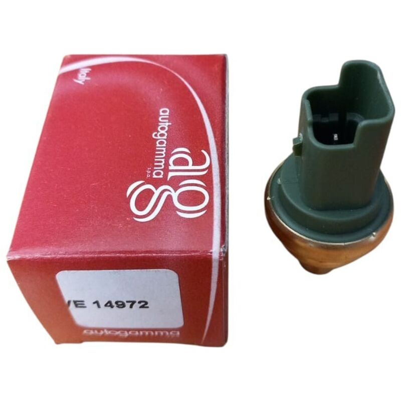 Sensore temperatura per citroen nemo spacetourer xsara