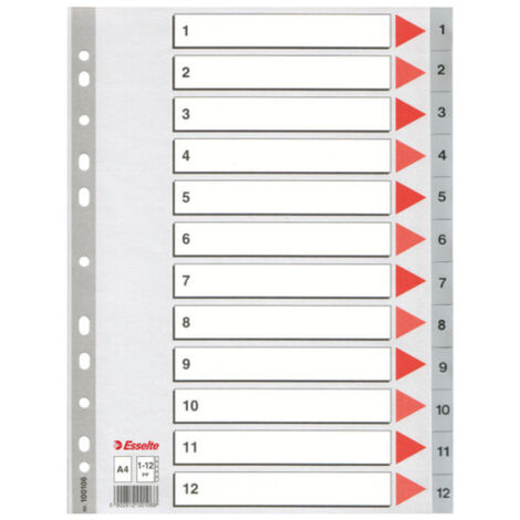 SEPARADOR NUMERICO POLIPROPILENO MULTITALADRO 1-12 FORMATO A4 COLOR GRIS ESSELTE 47138