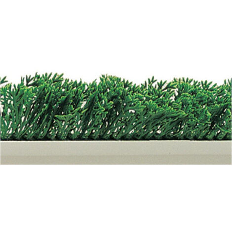 SEPARATION FEUILLAGE CYPRES SOCLE BLANC 55X750-L2G