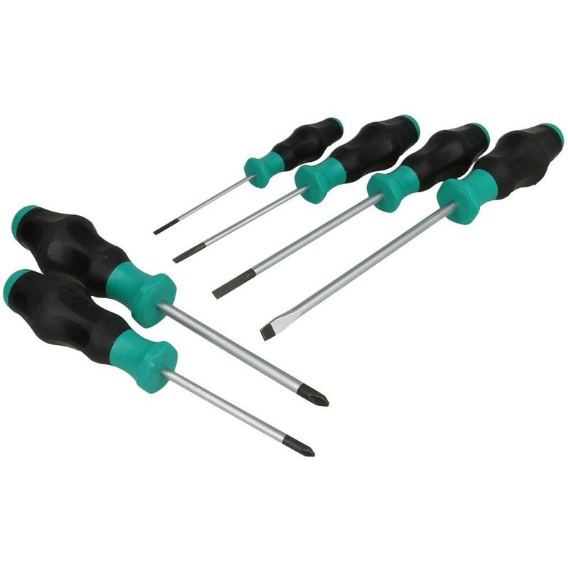 Cacciavite gioco 6 pezzi