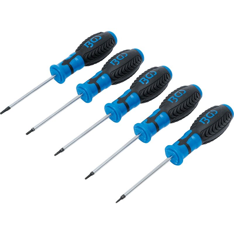 Bgs Technic - Serie di cacciaviti profilo a t (per Torx) con alesatura T6 - T10 5 pz.