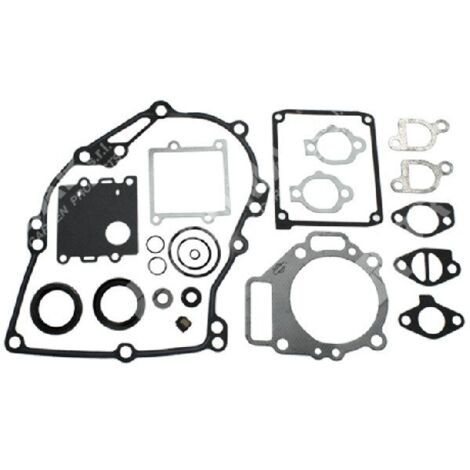 Série de joints pour moteurs BRIGGS & STRATTON 495260 (ex 261777 - 492271) - 026240