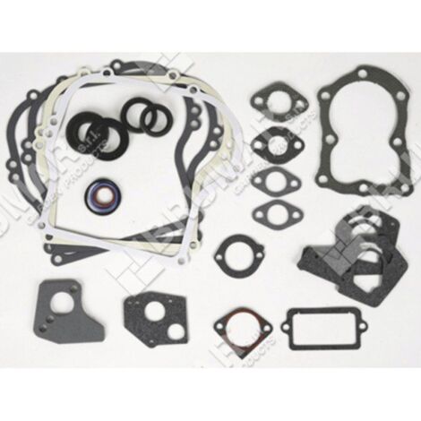 Série de joints pour moteurs BRIGGS & STRATTON 495603 - 020374