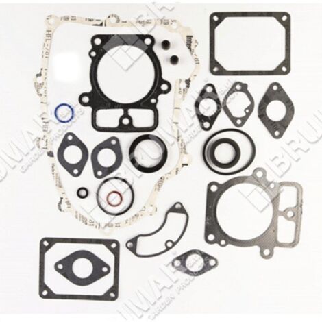 Série de joints pour moteurs BRIGGS & STRATTON 699823 - 027351