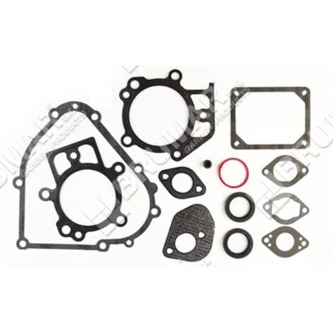 Série de joints pour moteurs BRIGGS & STRATTON 795201 - 026248