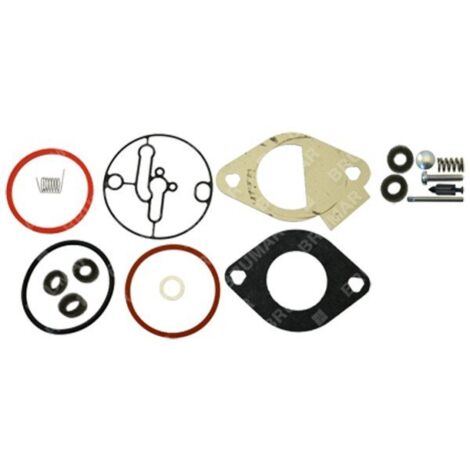 Série de joints pour moteurs BRIGGS & STRATTON 796184 - 026066