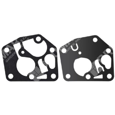 Série de membranes pour carburateurs BRIGGS & STRATTON 495770 - 005389