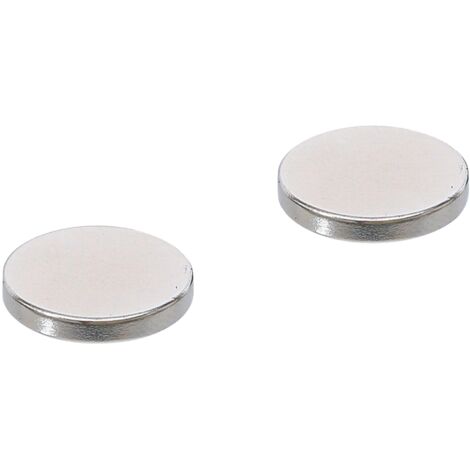 Serie di magneti  extra forte  Ø 18 mm  2 pz.