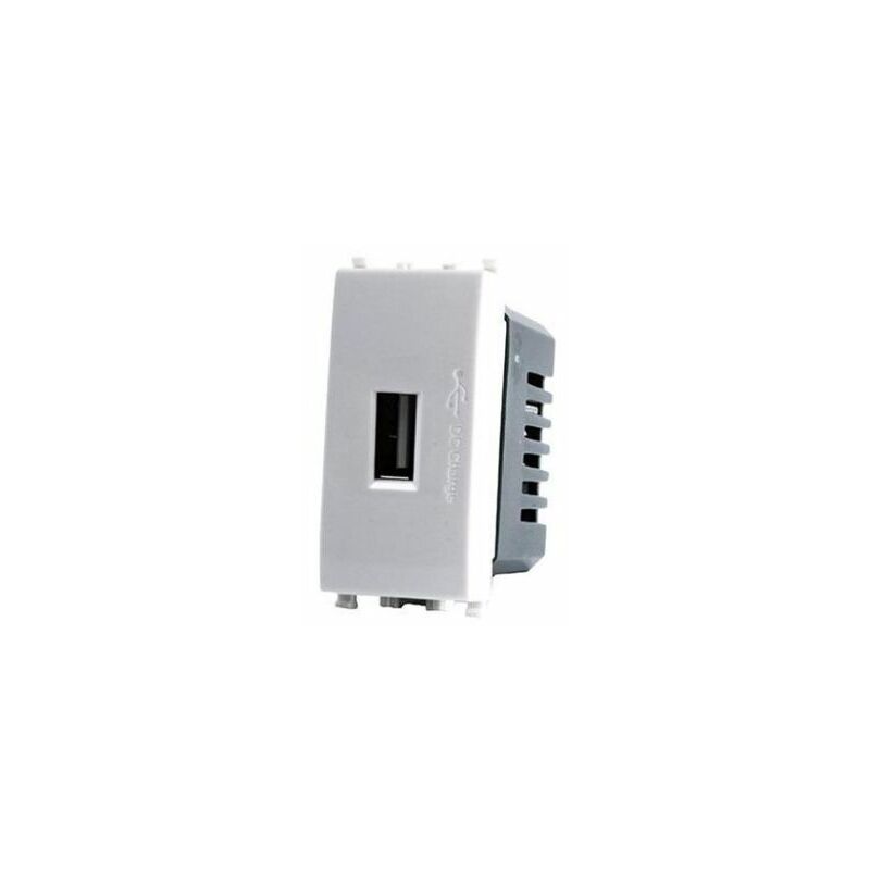 Image of Serie elettrica Frutti Compatibili serie Biticino Plana Caricatore USB