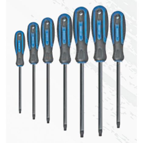 SERIE GIRAVITI TORX 7 PZ. HYUNDAI 59408