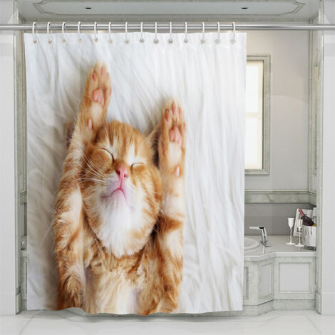 Série Grand Chat Orange, Impression numérique sur polyester, 150 x 180 mm