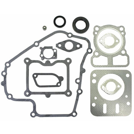 Serie guarnizioni DOV 090600, 100600, 100800 793623 BRIGGS &amp STRATTON-320321