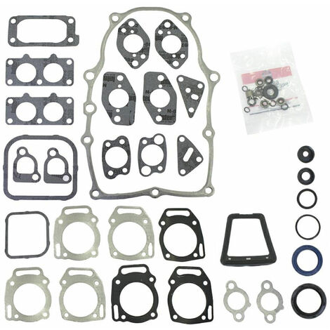 Serie guarnizioni Vanguard bicilindrici da 14 a 16 HP orizzontali e verticali 290400-320031