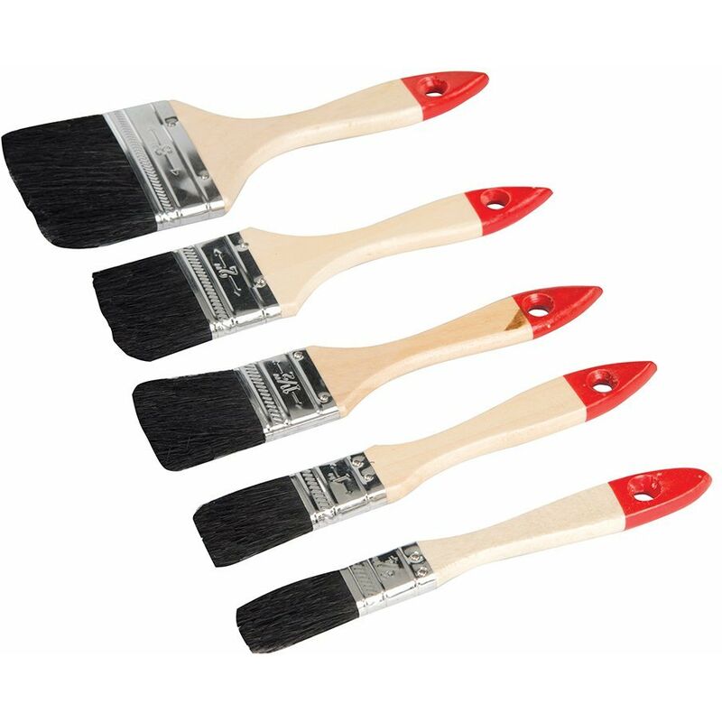 Image of Serie set kit assortimento 5 pennelli assortiti per verniciare vernici pittura