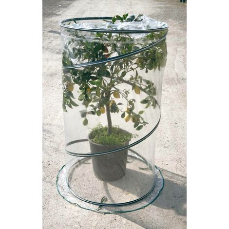Serra da Giardino con Sistema Pop-Up Ø90cm Rama Citrus Verde