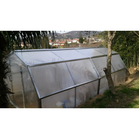 Serra Flora 3,25x6 Con Telaio In Acciaio Zincato E Chiusura In Policarbonato