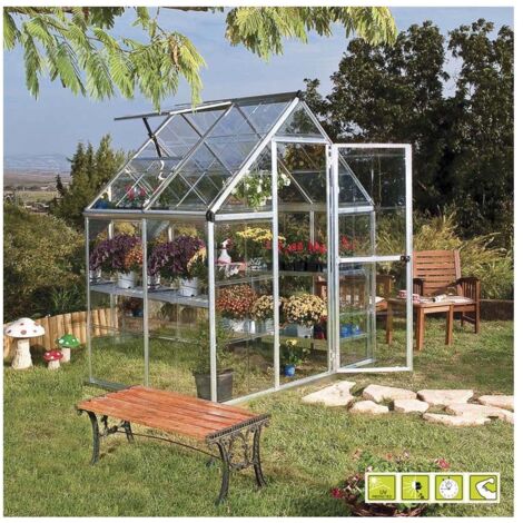 serra per giardino verdemax "doritis mini" in policarbonato 185x122x209 cm