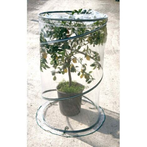 serra per pianta verdemax "pop up citrus" 90x150 cm