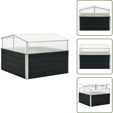 Serra per verdure - vidaXL Serra Antracite 100x100x77 cm in Acciaio Zincato - Serra per erbe