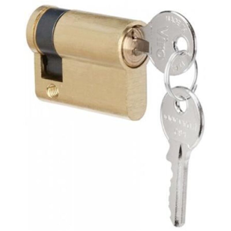 Serratura cilindro euro con chiave personale per selettori a chiave t20 t21 n°4 faac 712055