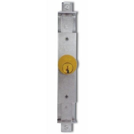 Serratura da Applicare per Cancelletti Viro Art. 8301   cilindro 25mm