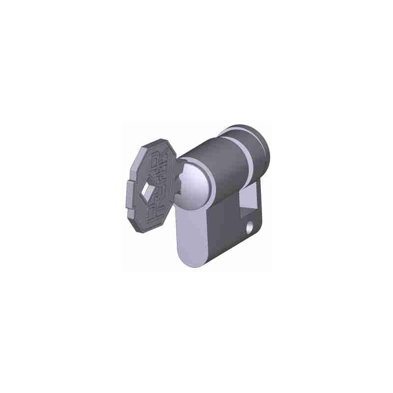 Serrure Din avec clé Prefer 7001 Remplacement CAME 119R36887001