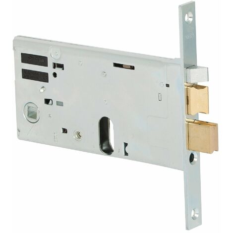 11731 Elettroserratura per Cancello Pulsante e cilindro interno ed este CISA CISA 