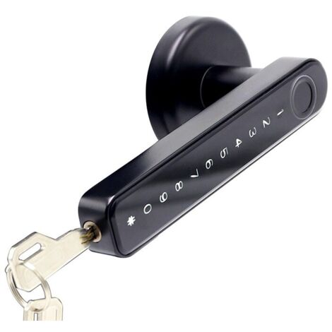 Serratura intelligente, sblocco con impronta digitale, codice, app, password, chiave, ricarica USB, Bluetooth, nero