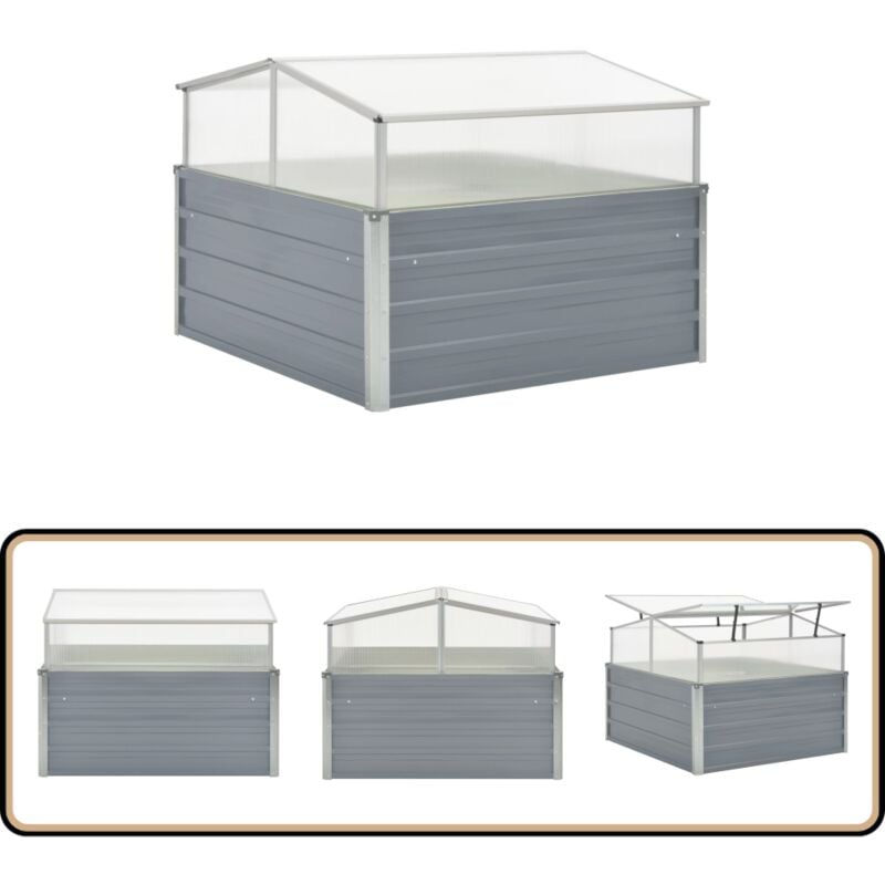 Serre 100 x 100 x 85 cm Grise Acier galvanisé - Serre Jardin - Abri Plante - Protection Végétale - Culture Hors Saison - Greenhouse Garden