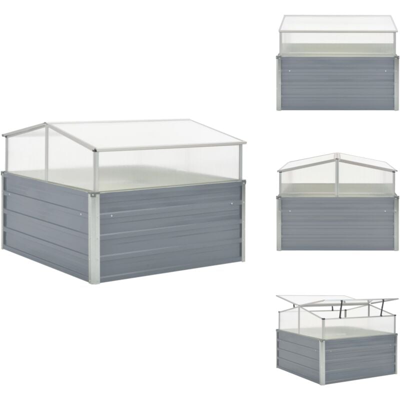 Serre 100 x 100 x 85 cm Grise Acier galvanisé - Serre Jardin - Abri Plante - Protection Végétale - Culture Hors Saison - Greenhouse Garden