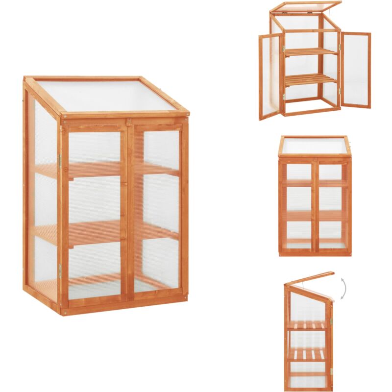 Serre 60x45x100 cm Bois de sapin - Serre De Jardin - Serre En Bois - Abri Jardin - Protection Plantes - Jardinage