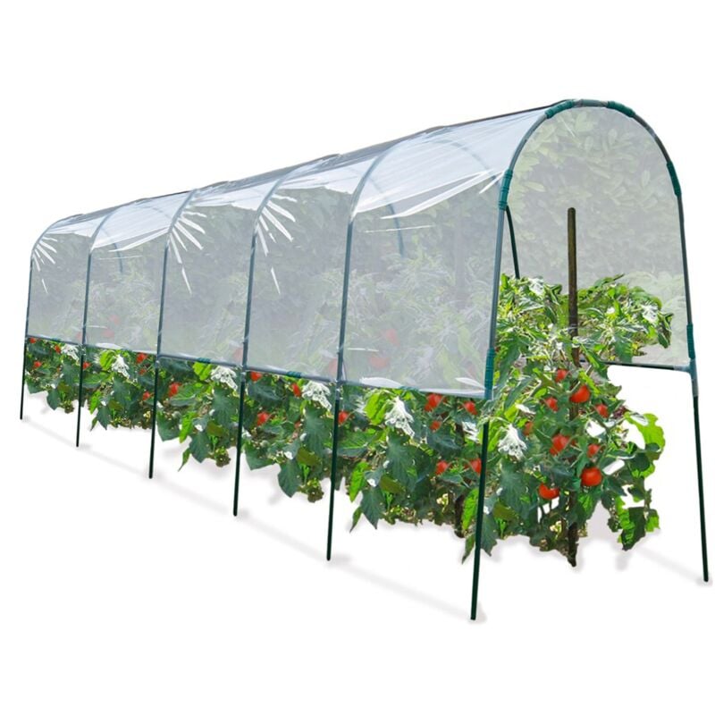 Serre à tomates 6 m
