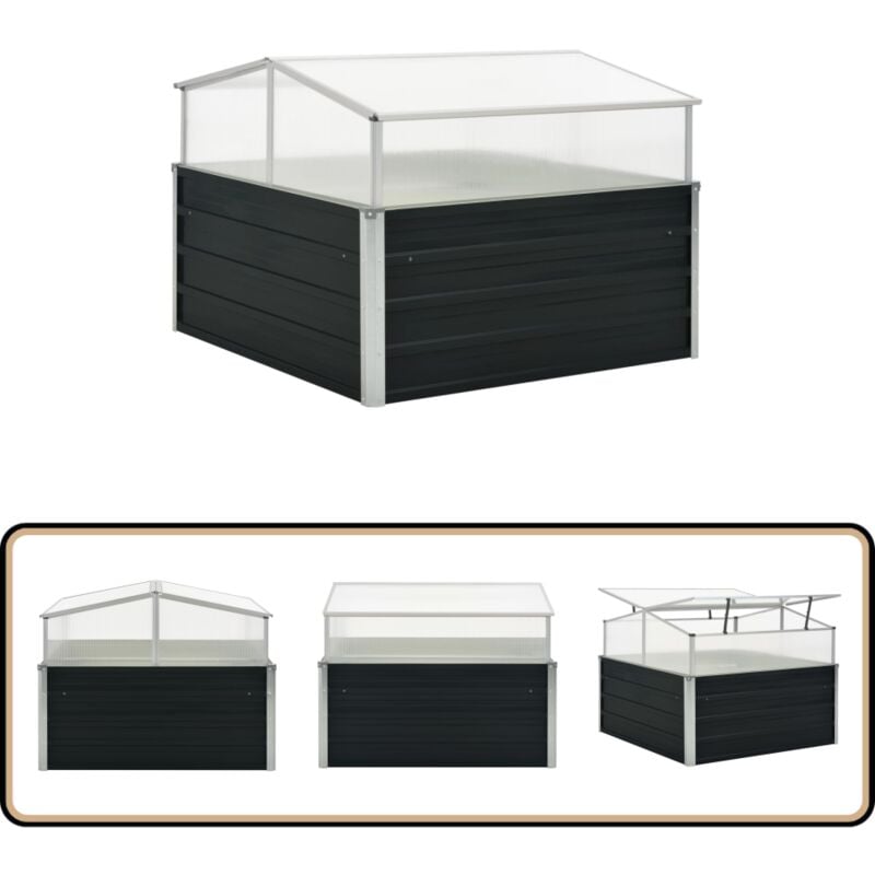 Serre Anthracite 100x100x77 cm Acier galvanisé - Serre De Jardin - Serre En Métal - Abri Pour Plantes - Protection Contre Le Froid - Jardinage