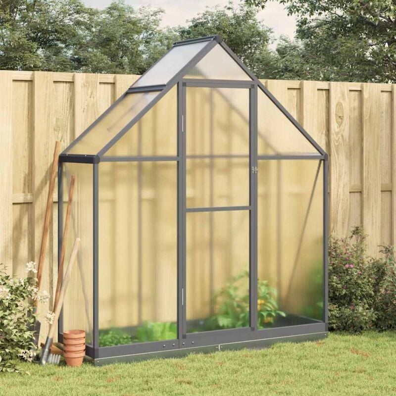 Vidaxl - Serre avec cadre de base anthracite 169x58x202 cm aluminium