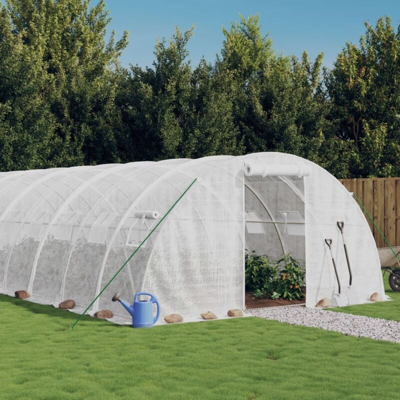 Vidaxl - Serre avec cadre en acier blanc 24 m² 6x4x2 m