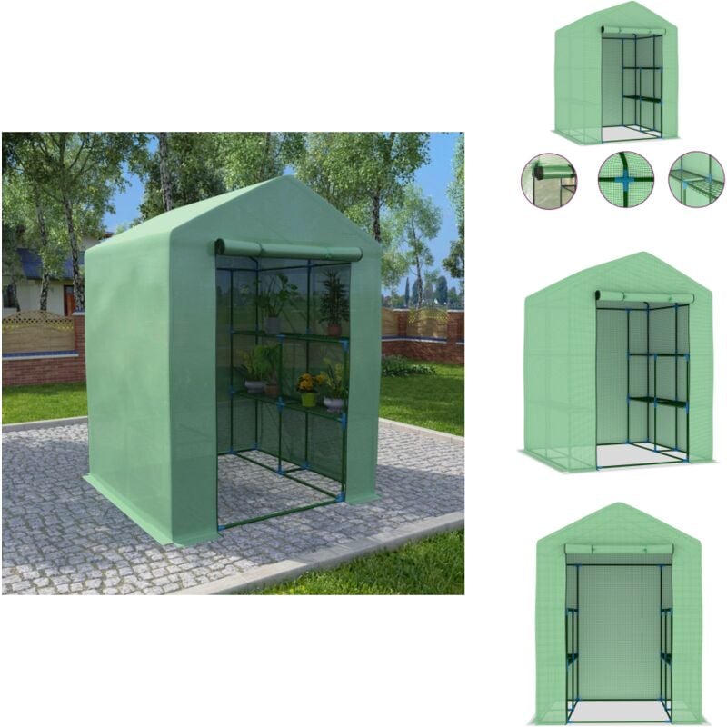 Vidaxl - Serre avec étagères Acier 143x143x195 cm - Serre De Jardin - Serre Pliable - Abri Jardin - Protection Plante - Serrez Jardin