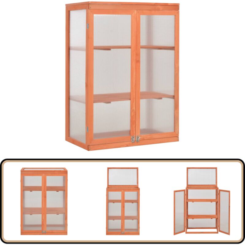 Serre Bois 75x47x109 cm - Serre De Jardin - Serre Bois - Serre Froide - Abri Jardin - Protection Plantes